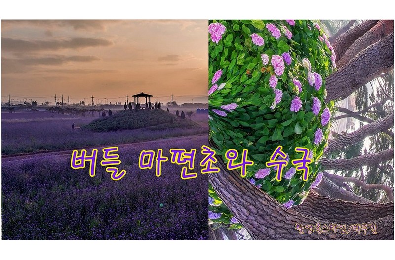   | PHOTO BY : 홀스타인/박무길  |