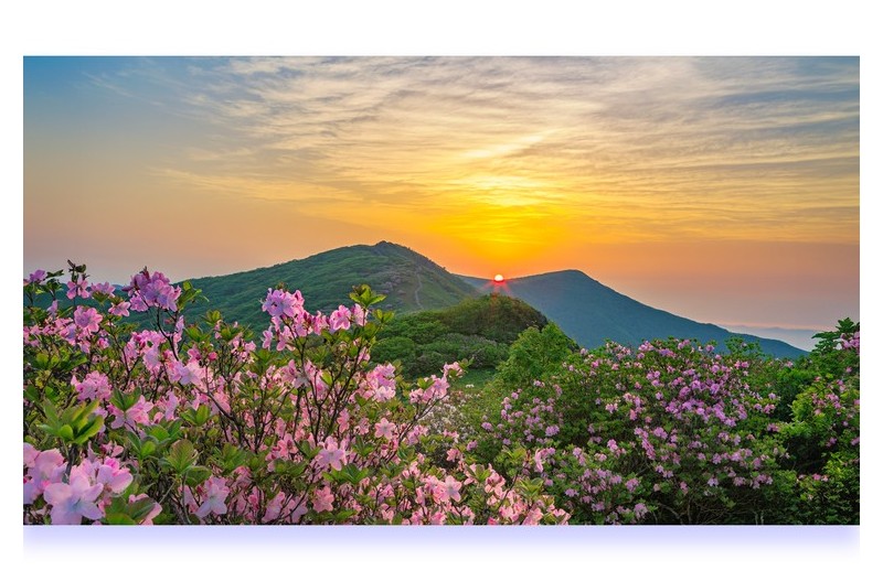 PHOTO BY Parkseungwoo[woonkwang]43woo@hanmail.net(010-8516-2090)  | Canon EOS 5D Mark III  | 2013:06:03 05:22:39  | ISO-100 | 1/20 sec | f 13 | 35 mm | EV=0 | ● WIDTH:2400 pixels  HEIGHT:1650 pixels