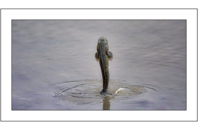   | PHOTO BY : 삿갓/정봉식  |