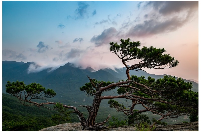 PHOTO BY MINKYUKIM  | Canon EOS 5D Mark III  | 2024:06:24 05:05:52  | ISO-200 | 1/60 sec | f 8 | 28 mm | EV=0 | ● WIDTH:1600 pixels  HEIGHT:1067 pixels