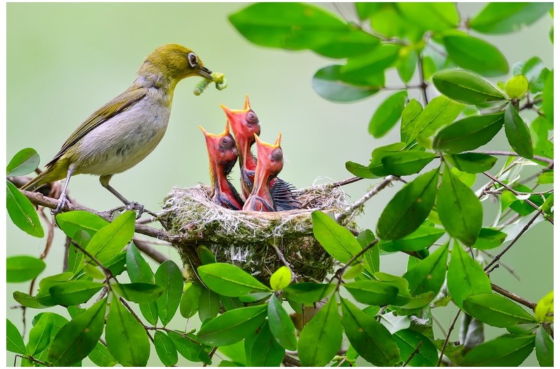 PHOTO BY ChoiJunqSeop  | Canon EOS-1D X Mark II  | 2024:06:27 16:13:37  | ISO-100 | 1/80 sec | f 7.1 | 300 mm | EV=-0.7 | ● WIDTH:1800 pixels  HEIGHT:1200 pixels