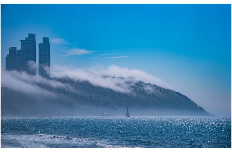PHOTO BY ZENITHJin62  | NIKON D810  | 2024:07:04 09:12:53  | ISO-100 | 1/200 sec | f 11 | 105 mm | EV=0 | ● WIDTH:1600 pixels  HEIGHT:1006 pixels