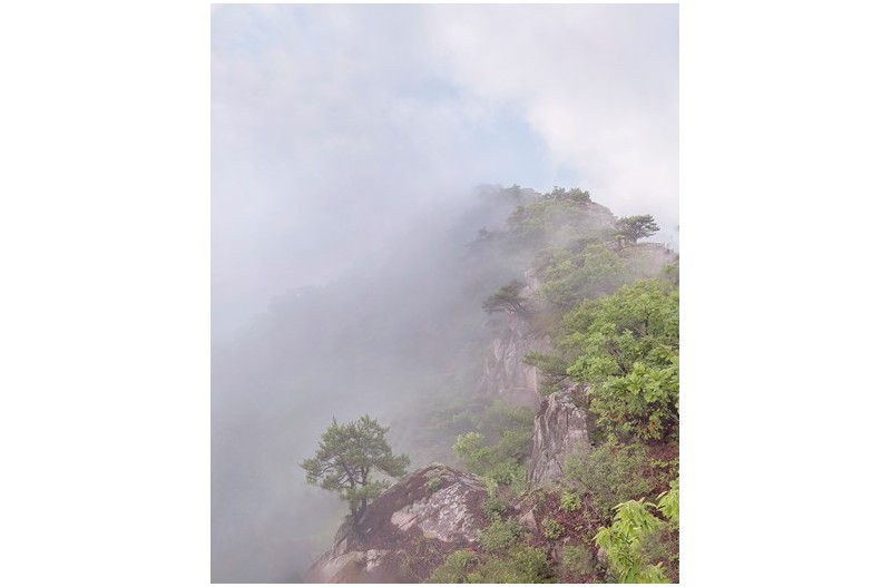 PHOTO BY  | NIKON Z 7_2  | 2024:07:01 08:06:14  | ISO-50 | 1/20 sec | f 11 | 14 mm | EV=0 | ● WIDTH:1500 pixels  HEIGHT:1856 pixels