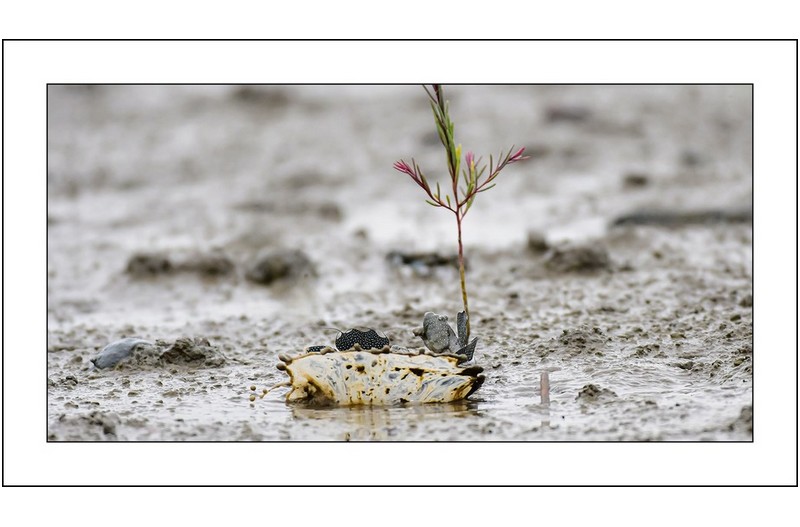   | PHOTO BY : 삿갓/정봉식  |