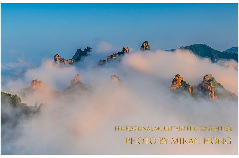 PHOTO BY Hong Mi Ran  | NIKON D850  | 2021:08:16 06:24:40  | ISO-200 | 1/60 sec | f 13 | 62 mm | EV=0.3 | ● WIDTH:1366 pixels  HEIGHT:867 pixels