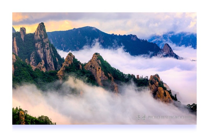 PHOTO BY photographer
PARK SEUNGWOO
S.KOREA  | Canon EOS 5D Mark IV  | 2022:07:09 18:38:59  | ISO-100 | 1/80 sec | f 16 | 76 mm | EV=0 | ● WIDTH:2400 pixels  HEIGHT:1770 pixels