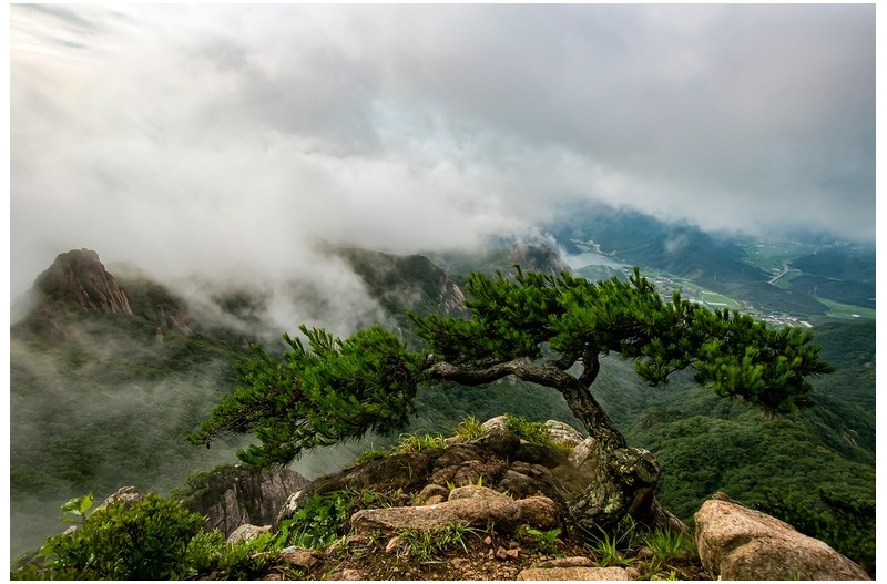 PHOTO BY MINKYUKIM  | Canon EOS 5D Mark III  | 2024:07:06 07:15:30  | ISO-200 | 1/60 sec | f 14 | 21 mm | EV=0 | ● WIDTH:1600 pixels  HEIGHT:1067 pixels