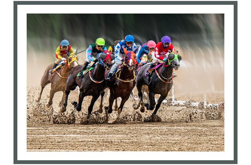 PHOTO BY  | ILCE-6500  | 2024:07:06 10:32:18  | ISO-1250 | 1/1000 sec | f 9.5 | 200 mm | EV=-0.5 | ● WIDTH:1300 pixels  HEIGHT:949 pixels