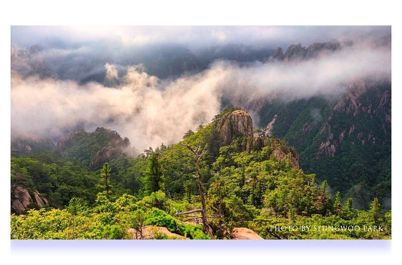 PHOTO BY photographer
PARK SEUNGWOO
S.KOREA  | Canon EOS 5D Mark IV  | 2022:07:30 07:56:45  | ISO-100 | 1/100 sec | f 8 | 29 mm | EV=0 | ● WIDTH:2400 pixels  HEIGHT:1650 pixels