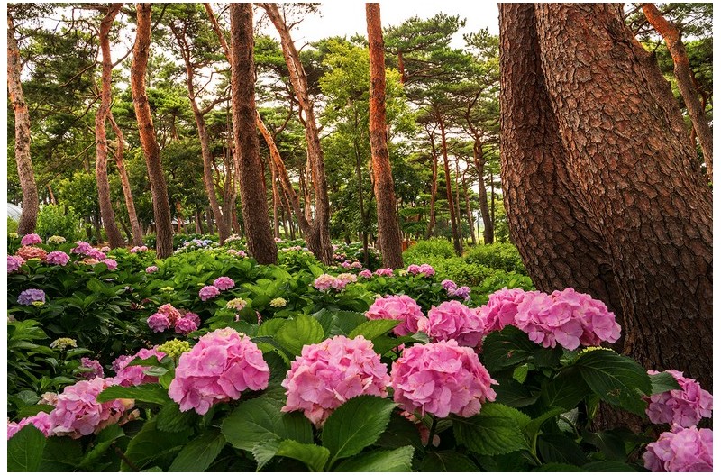PHOTO BY  | NIKON Z 6_2  | 2024:07:05 09:35:35  | ISO-320 | 1/60 sec | f 13 | 28 mm | EV=-0.3 | ● WIDTH:1500 pixels  HEIGHT:998 pixels