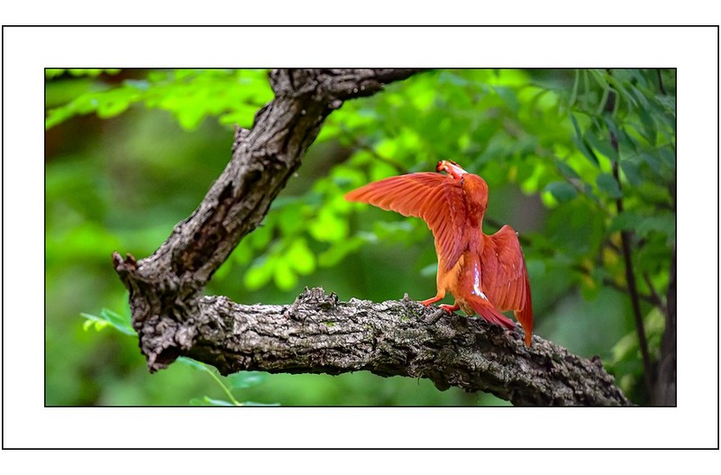   | PHOTO BY : 삿갓/정봉식  |