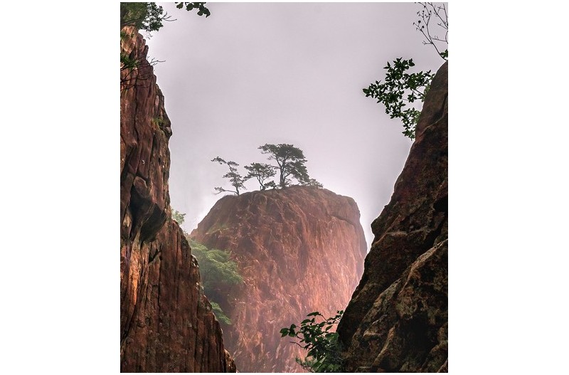 PHOTO BY  | NIKON Z 7_2  | 2024:06:23 16:05:28  | ISO-200 | 1/320 sec | f 11 | 24 mm | EV=0 | ● WIDTH:1200 pixels  HEIGHT:1355 pixels