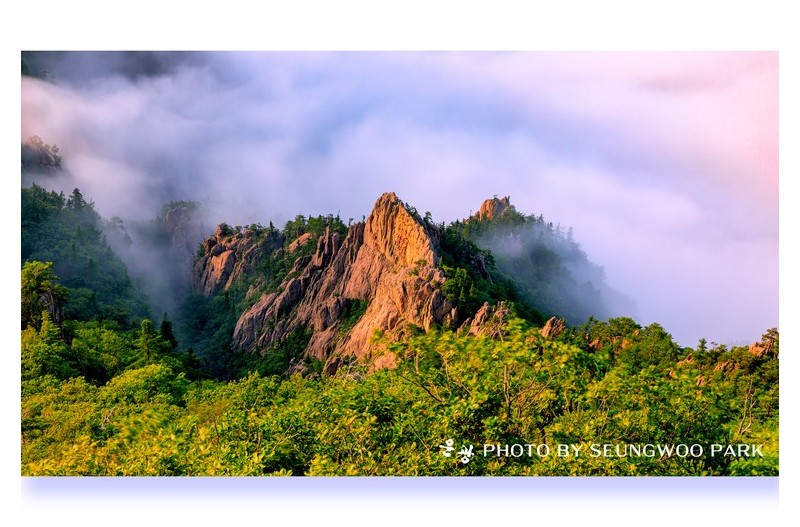 PHOTO BY "photographer
PARK SEUNGWOO
S.KOREA"  | Canon EOS 5D Mark IV  | 2022:07:09 18:01:01  | ISO-100 | 15/1 sec | f 22 | 53 mm | EV=0 | ● WIDTH:2400 pixels  HEIGHT:1650 pixels