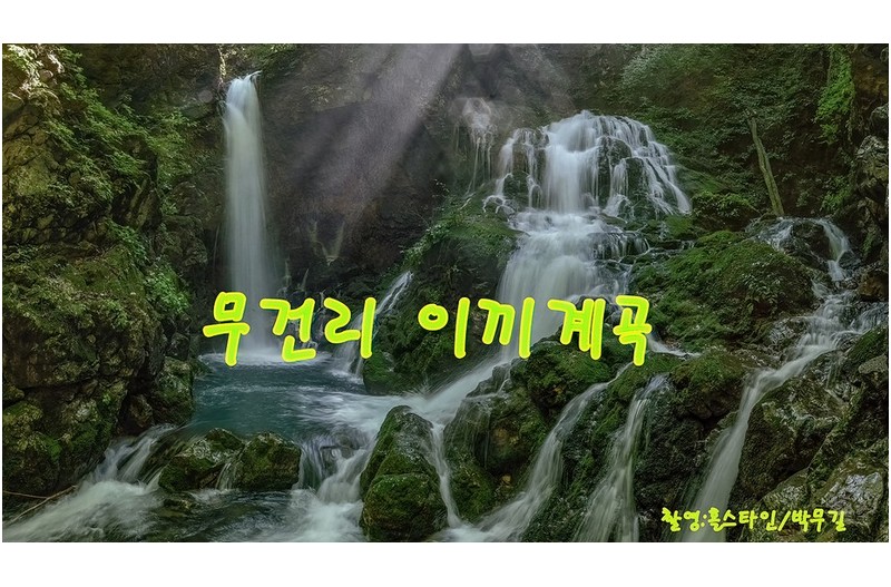   | PHOTO BY : 홀스타인/박무길  |