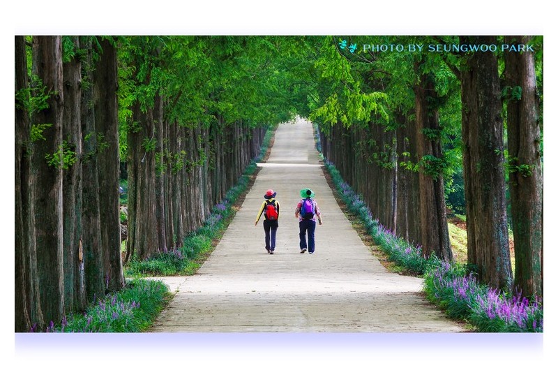 PHOTO BY :07:09 20:44:12 Parkseungwoo[woonkwang]43woo@hanmail.net |           Canon Canon  |  | ISO- |  |  |  | EV=0 | ● WIDTH:  HEIGHT: