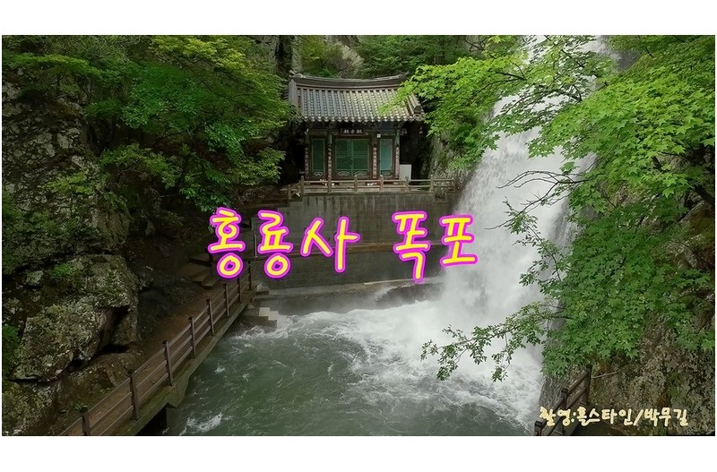   | PHOTO BY : 홀스타인/박무길  |