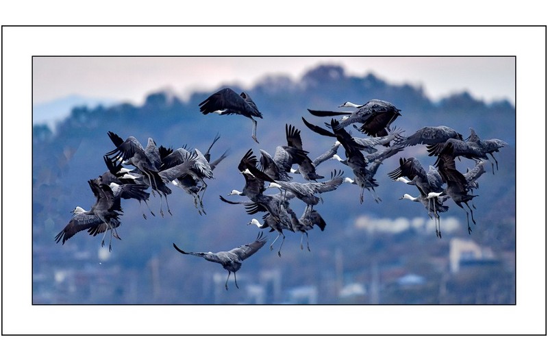   | PHOTO BY : 삿갓/정봉식  |