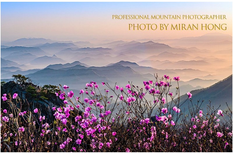 PHOTO BY Hong Mi Ran  | NIKON D850  | 2024:04:13 06:30:07  | ISO-200 | 1/320 sec | f 14 | 66 mm | EV=-0.3 | ● WIDTH:1366 pixels  HEIGHT:883 pixels