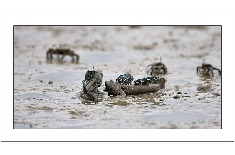   | PHOTO BY : 삿갓/정봉식  |