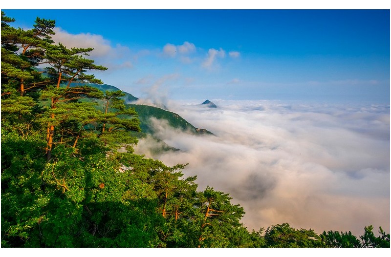 PHOTO BY  | NIKON D850  | 2024:07:11 06:32:49  | ISO-100 | 1/500 sec | f 11 | 25 mm | EV=-1.3 | ● WIDTH:1400 pixels  HEIGHT:860 pixels