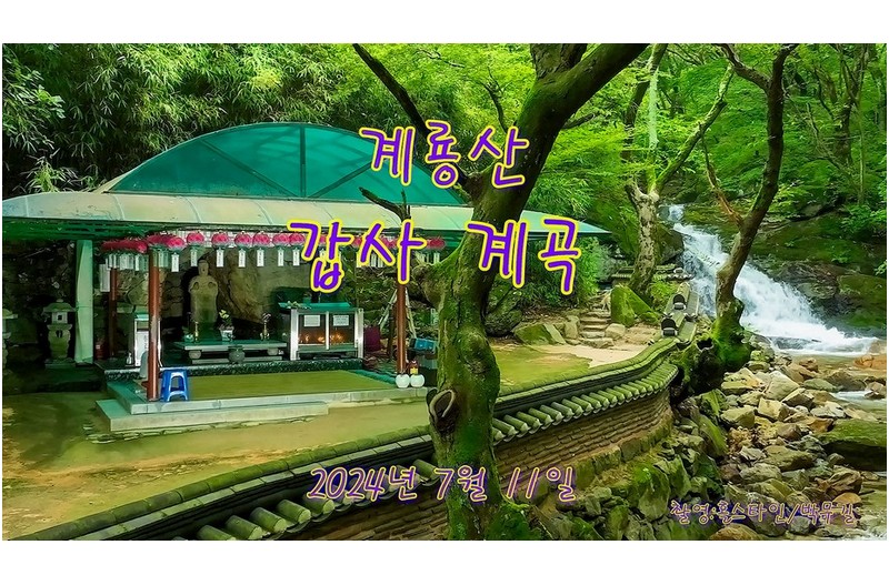   | PHOTO BY : 홀스타인/박무길  |