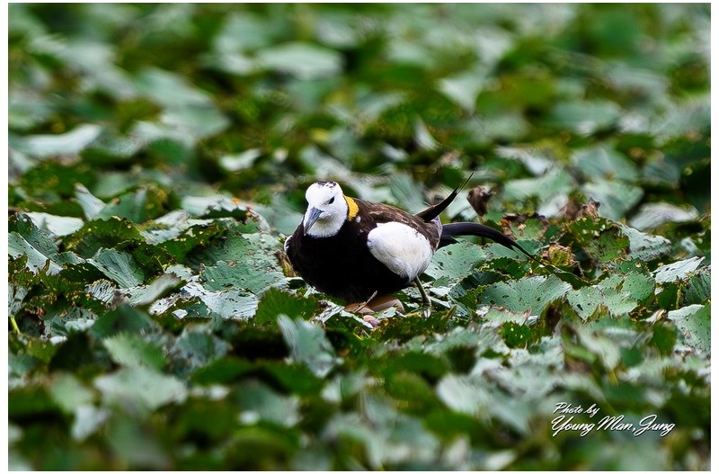   | PHOTO BY : 카파/정영만  |