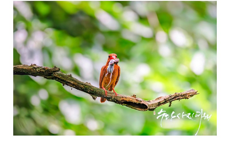   | PHOTO BY : 수당/박상돈  |