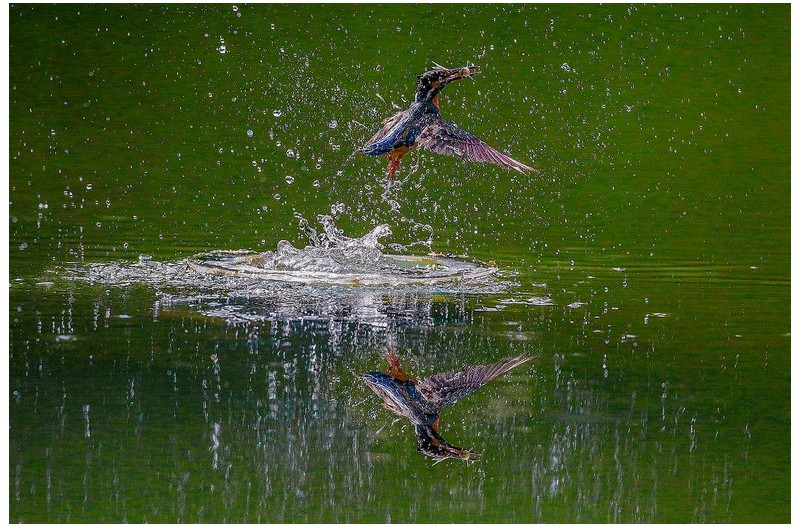 PHOTO BY  |           Canon Canon |  | ISO- |  |  |  | EV=0 | ● WIDTH:  HEIGHT: