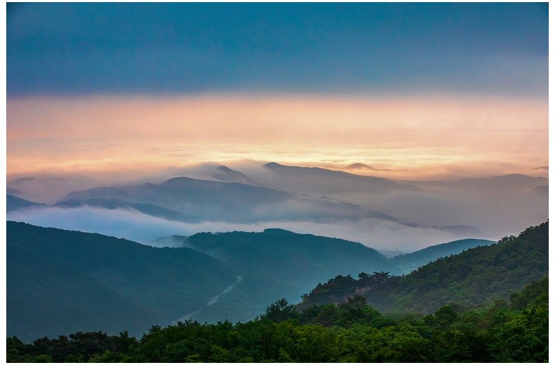 PHOTO BY  | Canon EOS 5D Mark IV  | 2024:07:13 06:11:50  | ISO-400 | 1/640 sec | f 8 | 88 mm | EV=0 | ● WIDTH:1400 pixels  HEIGHT:933 pixels