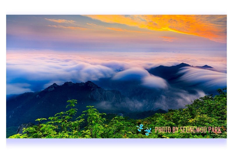PHOTO BY PARK SEUNGWOO  | Canon EOS 5D Mark IV  | 2024:07:14 05:36:10  | ISO-100 | 30/1 sec | f 9 | 24 mm | EV=0 | ● WIDTH:2400 pixels  HEIGHT:1650 pixels