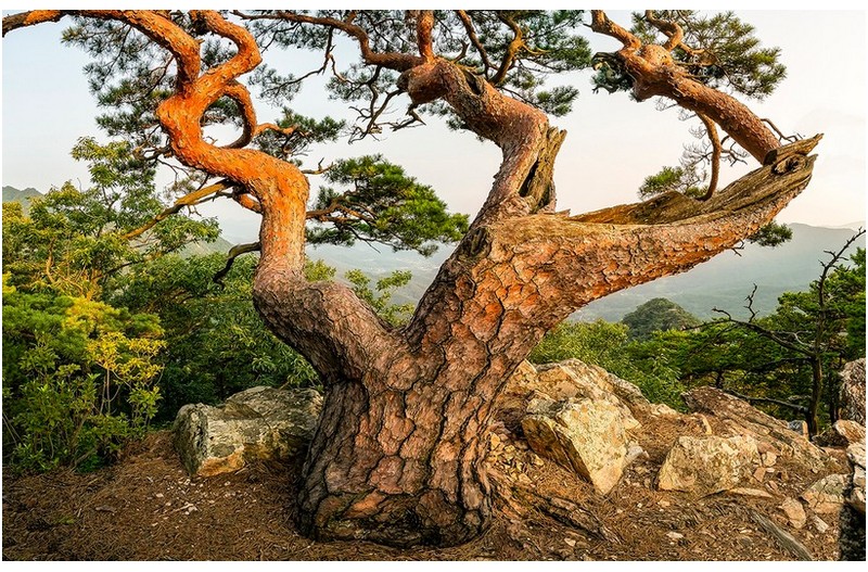 PHOTO BY MINKYUKIM  | Canon EOS 5D Mark III  | 2024:07:13 18:14:40  | ISO-200 | 1/40 sec | f 14 | 16 mm | EV=0 | ● WIDTH:1400 pixels  HEIGHT:893 pixels