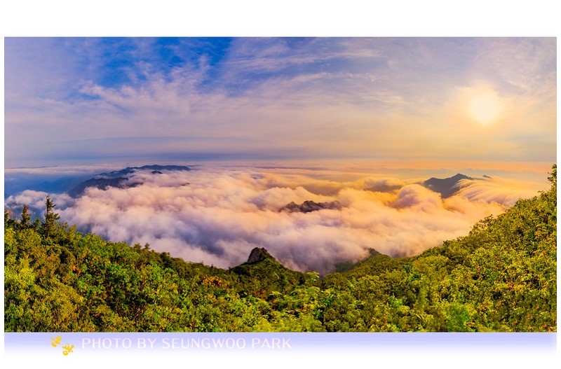 PHOTO BY PARK SEUNGWOO  | Canon EOS 5D Mark IV  | 2024:07:14 06:55:30  | ISO-160 | 1/10 sec | f 9 | 28 mm | EV=0 | ● WIDTH:2400 pixels  HEIGHT:1586 pixels