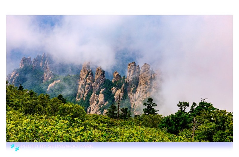 PHOTO BY PARK SEUNGWOO  | Canon EOS 5D Mark IV  | 2024:07:13 14:21:40  | ISO-100 | 1/320 sec | f 11 | 55 mm | EV=0 | ● WIDTH:2400 pixels  HEIGHT:1650 pixels