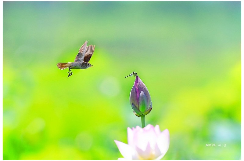 PHOTO BY  | KON CORPO |  | ISO- |  |  |  | EV=0 | ● WIDTH:  HEIGHT: