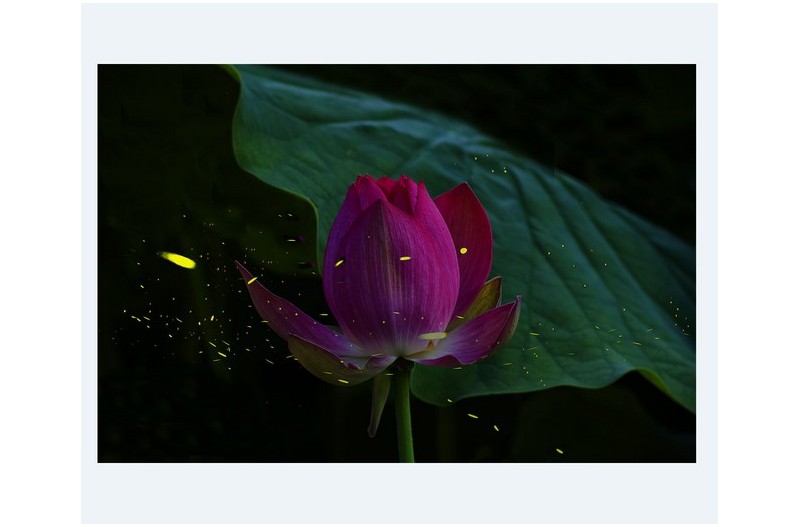 PHOTO BY SEHUI_OK  | NIKON D850  | 2024:06:21 06:30:23  | ISO-400 | 1/40 sec | f 8 | 200 mm | EV=0 | ● WIDTH:1300 pixels  HEIGHT:1063 pixels