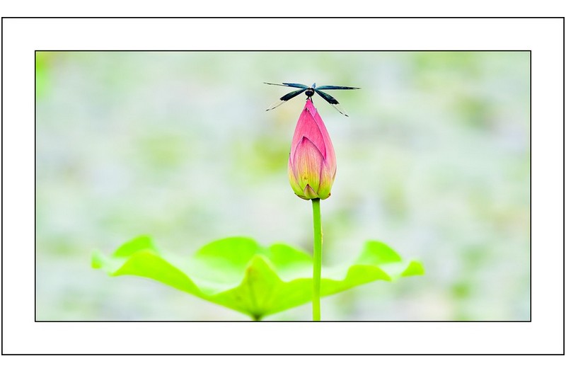   | PHOTO BY : 삿갓/정봉식  |
