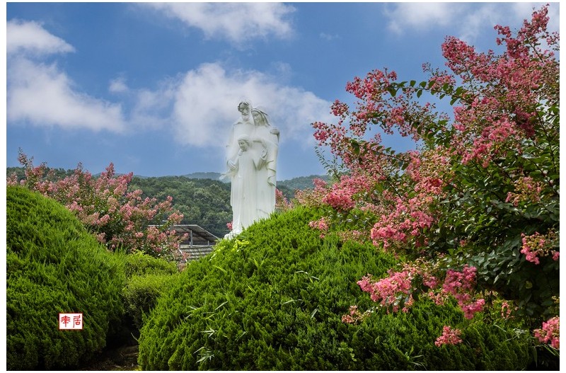 PHOTO BY changickheun  | Canon EOS-1D X Mark III  | 2024:07:19 10:08:27  | ISO-100 | 1/250 sec | f 9 | 65 mm | EV=0 | ● WIDTH:1800 pixels  HEIGHT:1200 pixels
