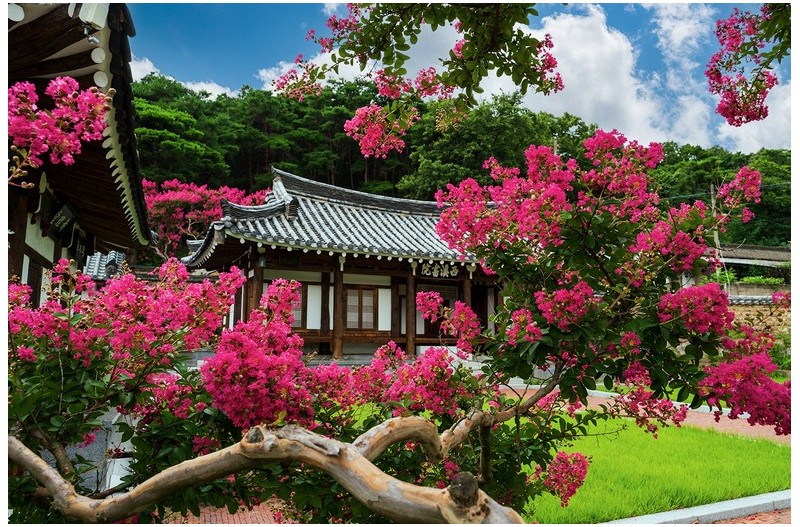 PHOTO BY  | NIKON Z 6_2  | 2024:07:18 11:07:07  | ISO-200 | 1/40 sec | f 9 | 28 mm | EV=0 | ● WIDTH:1500 pixels  HEIGHT:998 pixels