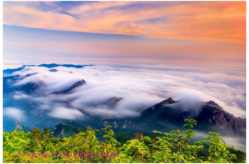 PHOTO BY PARK SEUNGWOO  | Canon EOS 5D Mark IV  | 2024:07:14 06:10:50  | ISO-100 | 25/1 sec | f 18 | 24 mm | EV=0 | ● WIDTH:2400 pixels  HEIGHT:1600 pixels