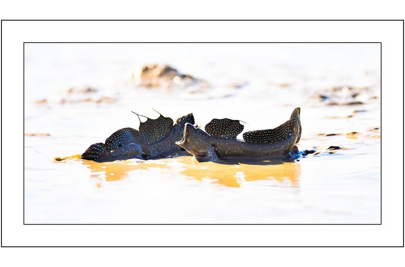   | PHOTO BY : 삿갓/정봉식  |