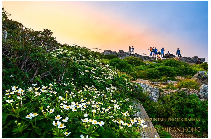 PHOTO BY HONG_MI_RAN  | NIKON Z 8  | 2023:07:13 06:00:49  | ISO-100 | 1/250 sec | f 8 | 24 mm | EV=0 | ● WIDTH:1366 pixels  HEIGHT:911 pixels