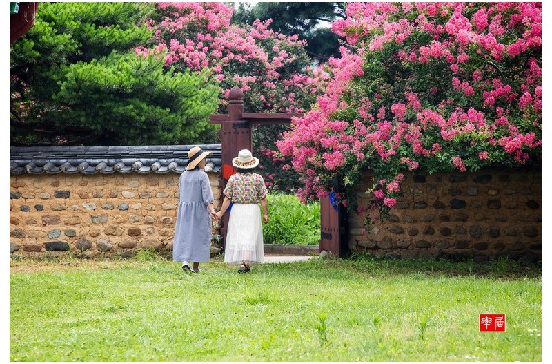 PHOTO BY changickheun  | Canon EOS-1D X Mark III  | 2024:07:20 10:14:39  | ISO-100 | 1/250 sec | f 5.6 | 95 mm | EV=0 | ● WIDTH:1800 pixels  HEIGHT:1216 pixels