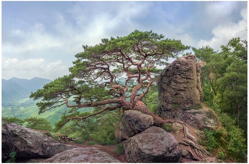 PHOTO BY  | NIKON Z 7_2  | 2024:07:12 12:23:22  | ISO-200 | 1/200 sec | f 11 | 14 mm | EV=0 | ● WIDTH:1700 pixels  HEIGHT:1121 pixels