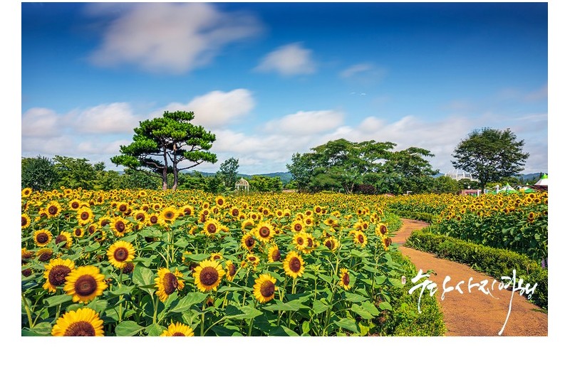   | PHOTO BY : 수당/박상돈  |