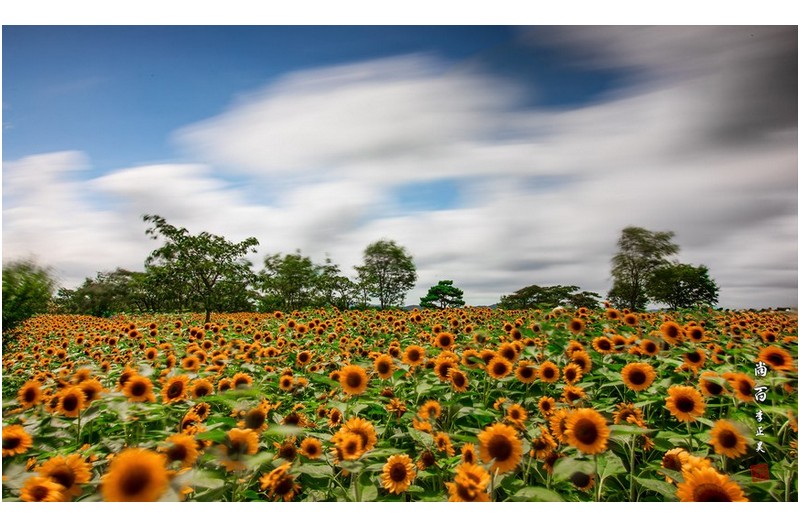PHOTO BY  | Canon EOS 5D Mark IV  | 2024:07:20 14:19:38  | ISO-50 | 30/1 sec | f 20 | 21 mm | EV=0 | ● WIDTH:1800 pixels  HEIGHT:1078 pixels