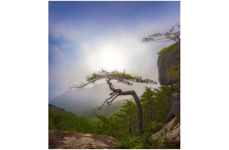 PHOTO BY  | NIKON Z 7_2  | 2024:07:12 07:37:20  | ISO-200 | 1/400 sec | f 11 | 15 mm | EV=0 | ● WIDTH:1400 pixels  HEIGHT:1583 pixels