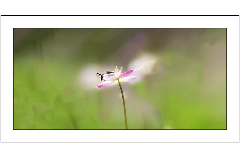  | PHOTO BY : 삿갓/정봉식  |