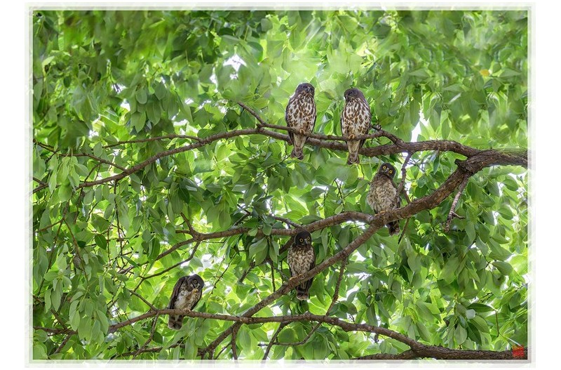 PHOTO BY  | NIKON Z 9  | 2024:07:22 13:59:38  | ISO-20000 | 1/250 sec | f 18 | 240 mm | EV=1 | ● WIDTH:1500 pixels  HEIGHT:1072 pixels