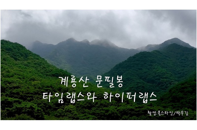   | PHOTO BY : 홀스타인/박무길  |