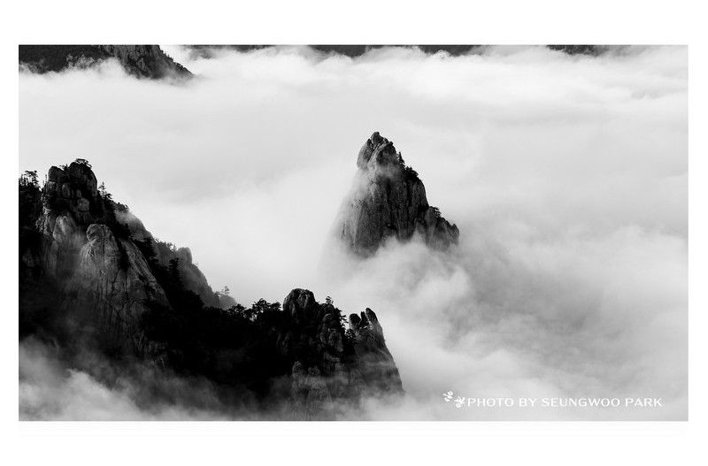 PHOTO BY :07:26 23:48:42 photographer
PARK S |           Canon Canon |  | ISO- |  |  |  | EV=0 | ● WIDTH:  HEIGHT: